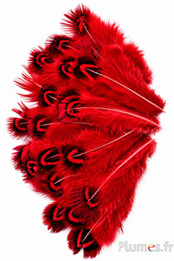 Fagiano dorato - 5-8 cm - menta-rosso